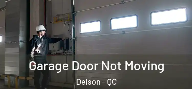  Garage Door Not Moving Delson - QC