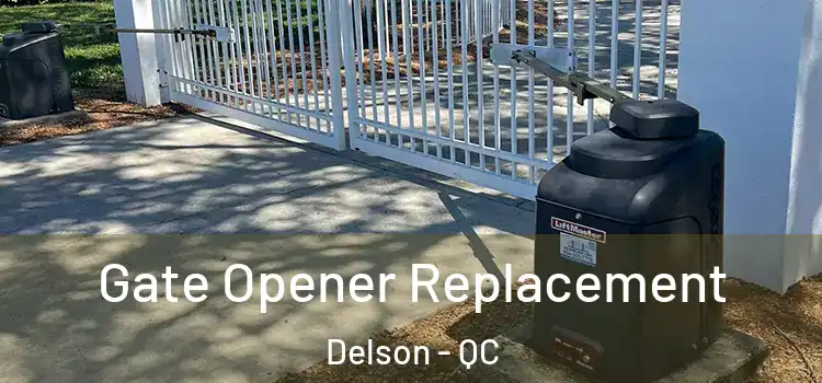 Gate Opener Replacement Delson - QC