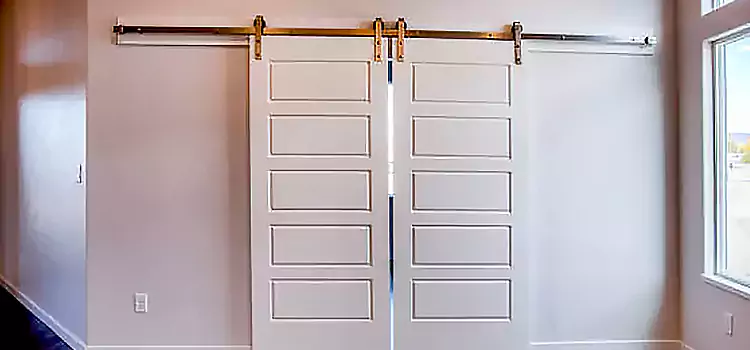 Glass Barn Door with Installation Hardware Kit Delson