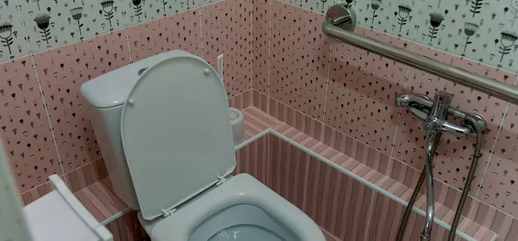Meeting Diverse Needs With Accessible Restroom Solutions in Delson, QC