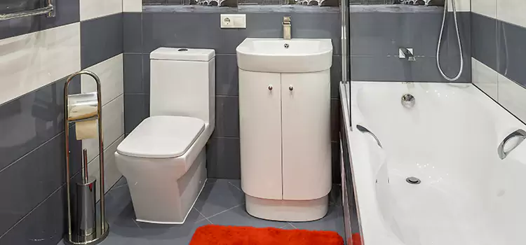 Hansgrohe Shaving Mirror Delson
