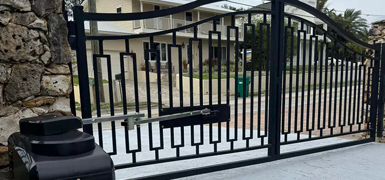 Swing Gate Opener with Keypad Delson
