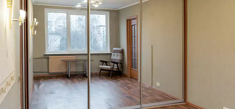 Mirror Closet Door Roller Replacement Delson